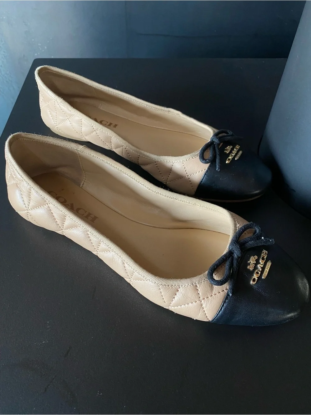 Coach stylish ballet